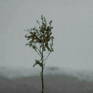 斗罗大陆黄批网站
