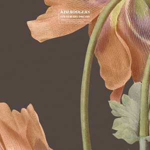 斗罗大陆黄批网站
