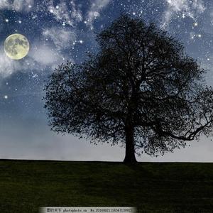 斗罗大陆黄批网站
